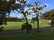 Sports fields in Auckland Domain