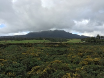 The view of Mt. Taranaki at this stage in the trip