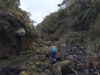 Once we got into Maero Stream, instead of crossing over, we started hiking upstream.