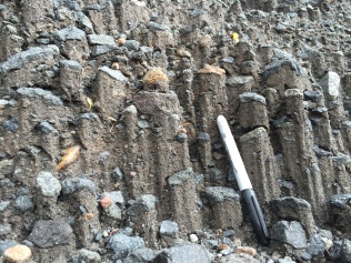 Weird sedimentary structures that look kind of like columnar basalts, but are made of sand and just the size of a sharpie