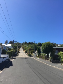 The "world's steepest street". Good job Dunedin?