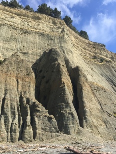 Cool erosional structures on the cliffs.