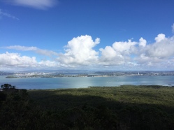Pretty nice view from the top of Rangitoto