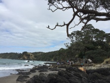 Overseeing undergraduate students doing a mapping project at Matheson Bay (north of Auckland)