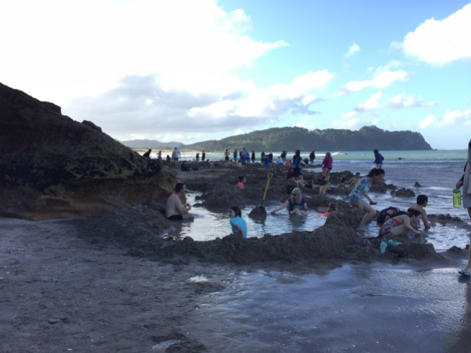 Hot Water Beach--a geothermal area where you can dig your own hot pool in the sand!