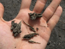 Examples of ash and lapilli that fall from the volcano every day. Ash is basically just lava that explodes into tiny bits coming out of the volcano and rains down wherever the wind is blowing.