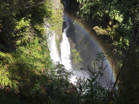 A waterfall with a rainbow right to the bottom!